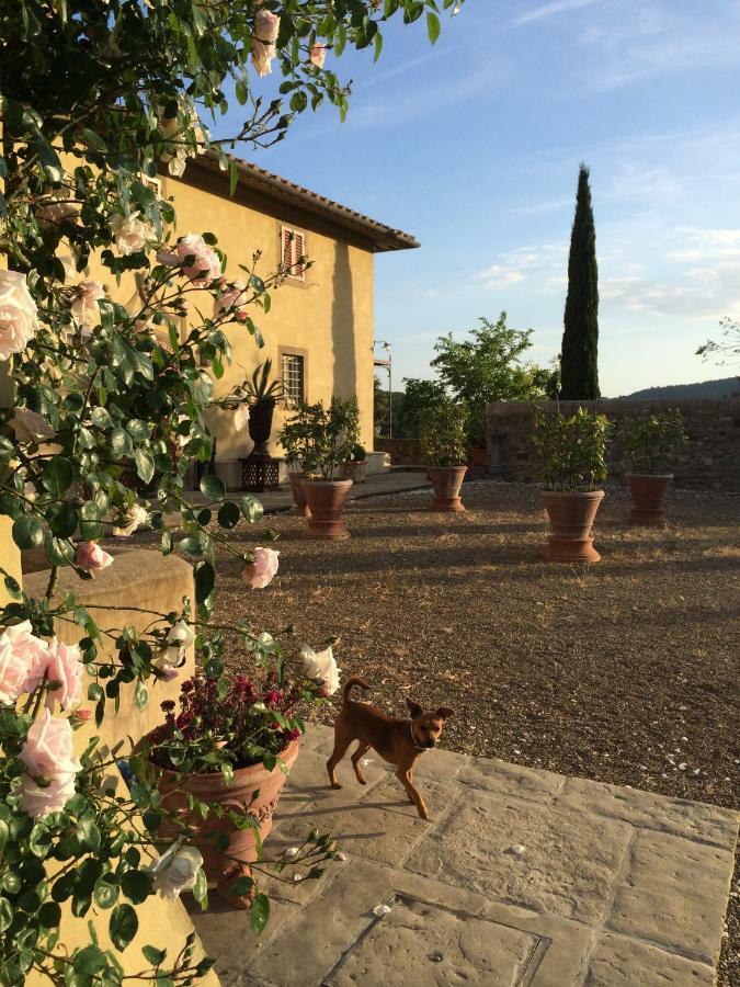 Villa Ronzanello Dimora Medicea Carmignano Exteriér fotografie